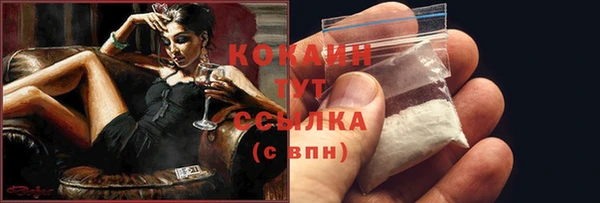 mdpv Новодвинск