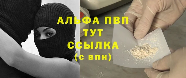mdpv Новодвинск