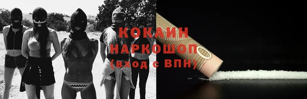 гашик Новозыбков