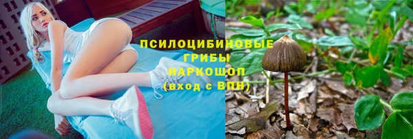 бошки Абинск