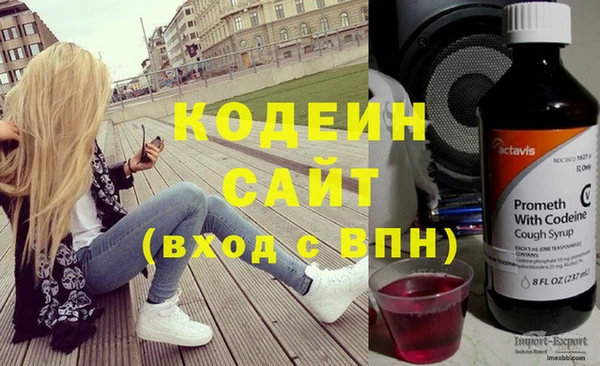 гашик Новозыбков