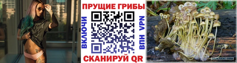 Псилоцибиновые грибы мухоморы  Никольское 
